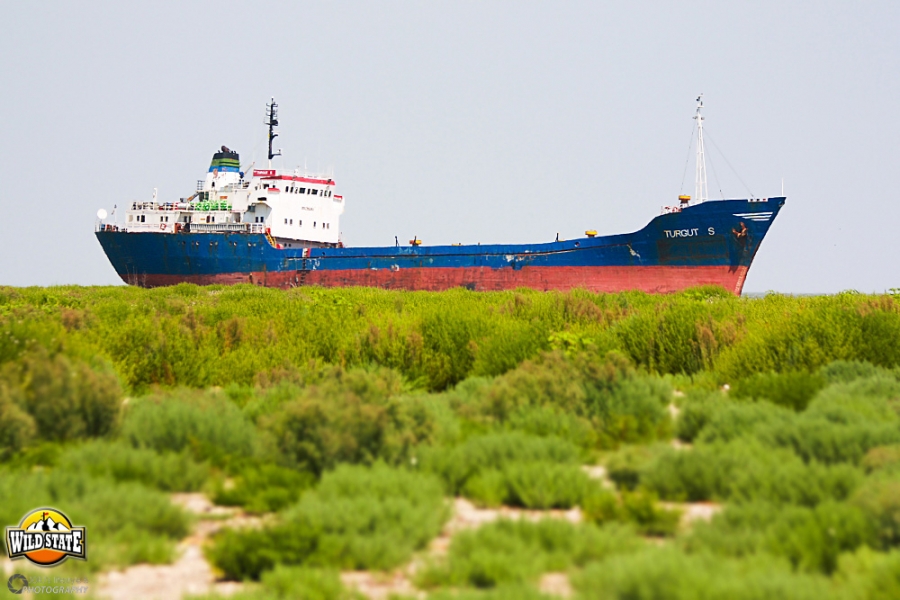 Tur de forta in Delta Dunarii: Epava de pe insula Tur de forta in Delta Dunarii: Epava de pe insula