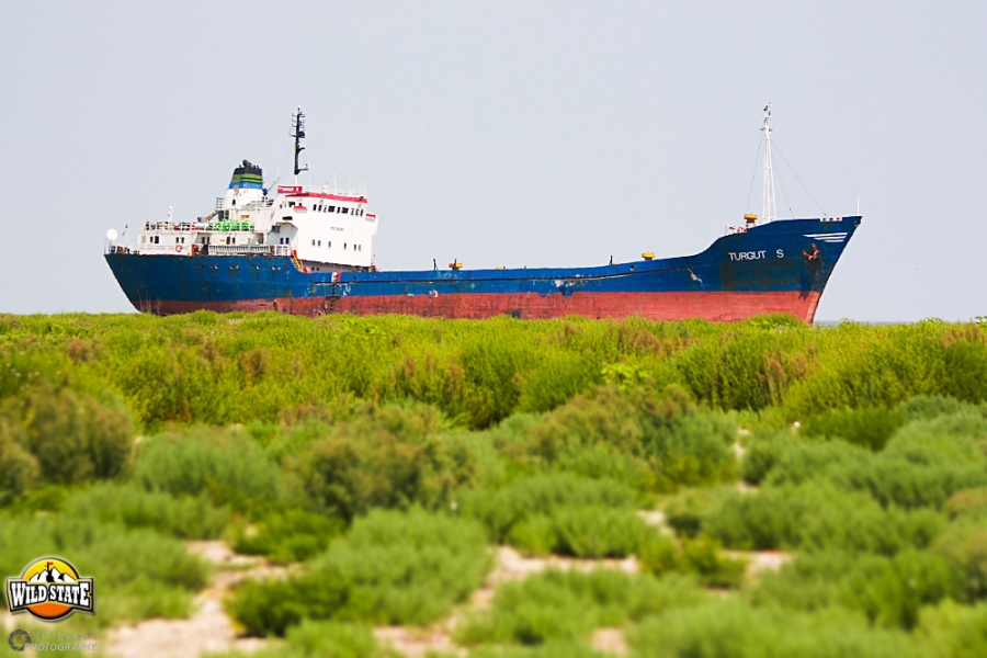 Tur de forta in Delta Dunarii: Epava de pe insula